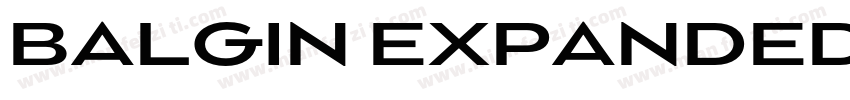 BALGIN EXPANDED字体转换